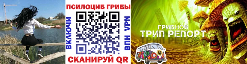 площадка клад  Чапаевск  Псилоцибиновые грибы ЛСД 